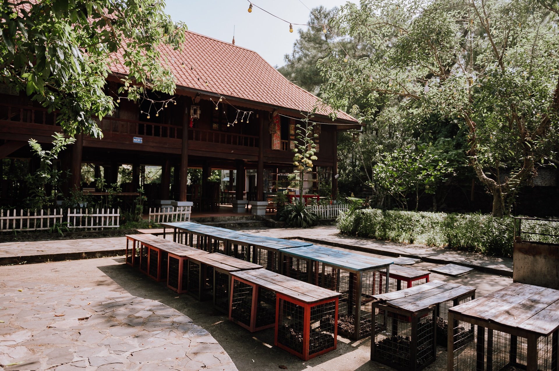 Balcony view from a room, showing misty mountains and rice paddies at sunrise.