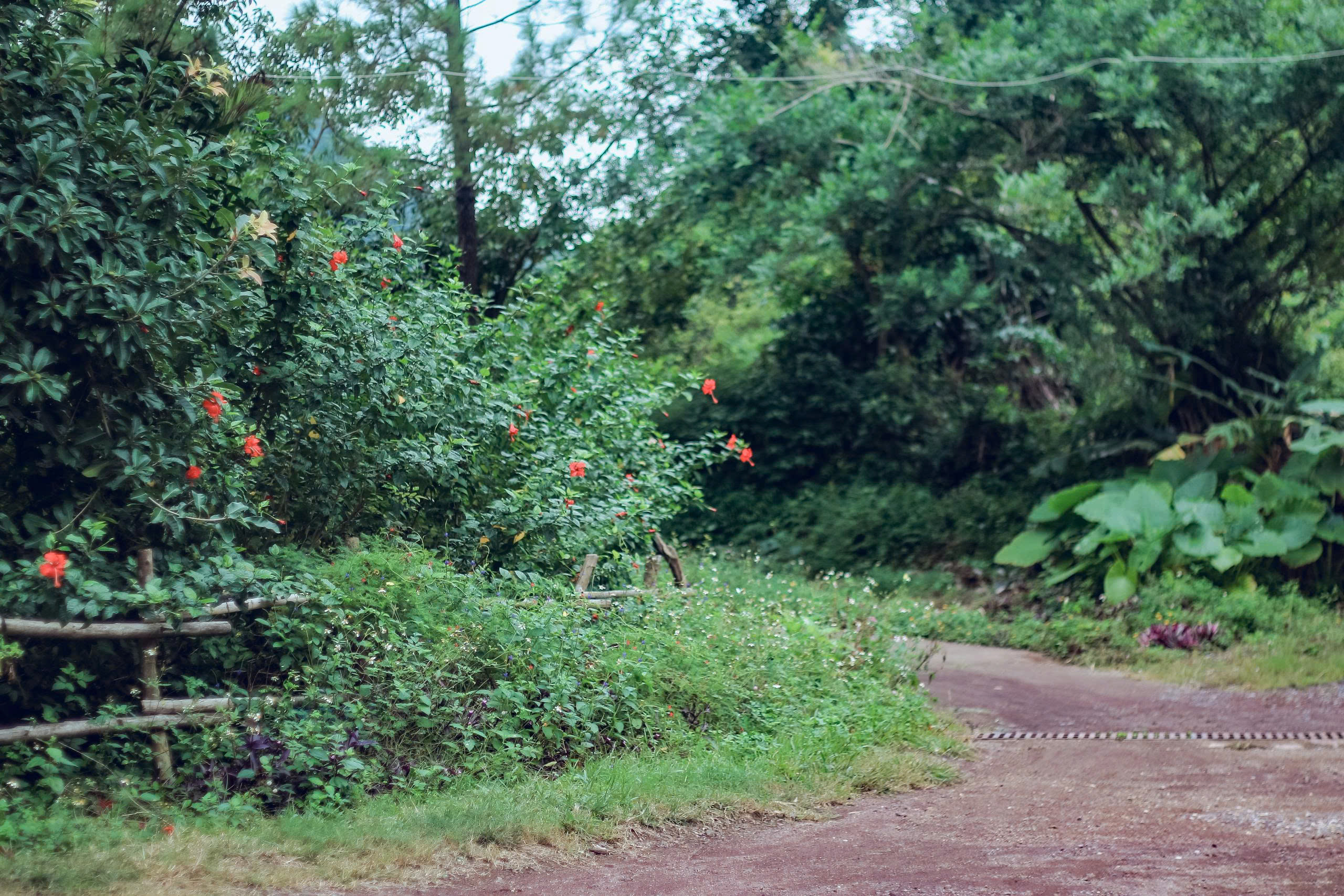 Eco Lodge room interior with comfortable amenities