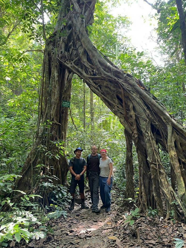 Enlarged gallery image