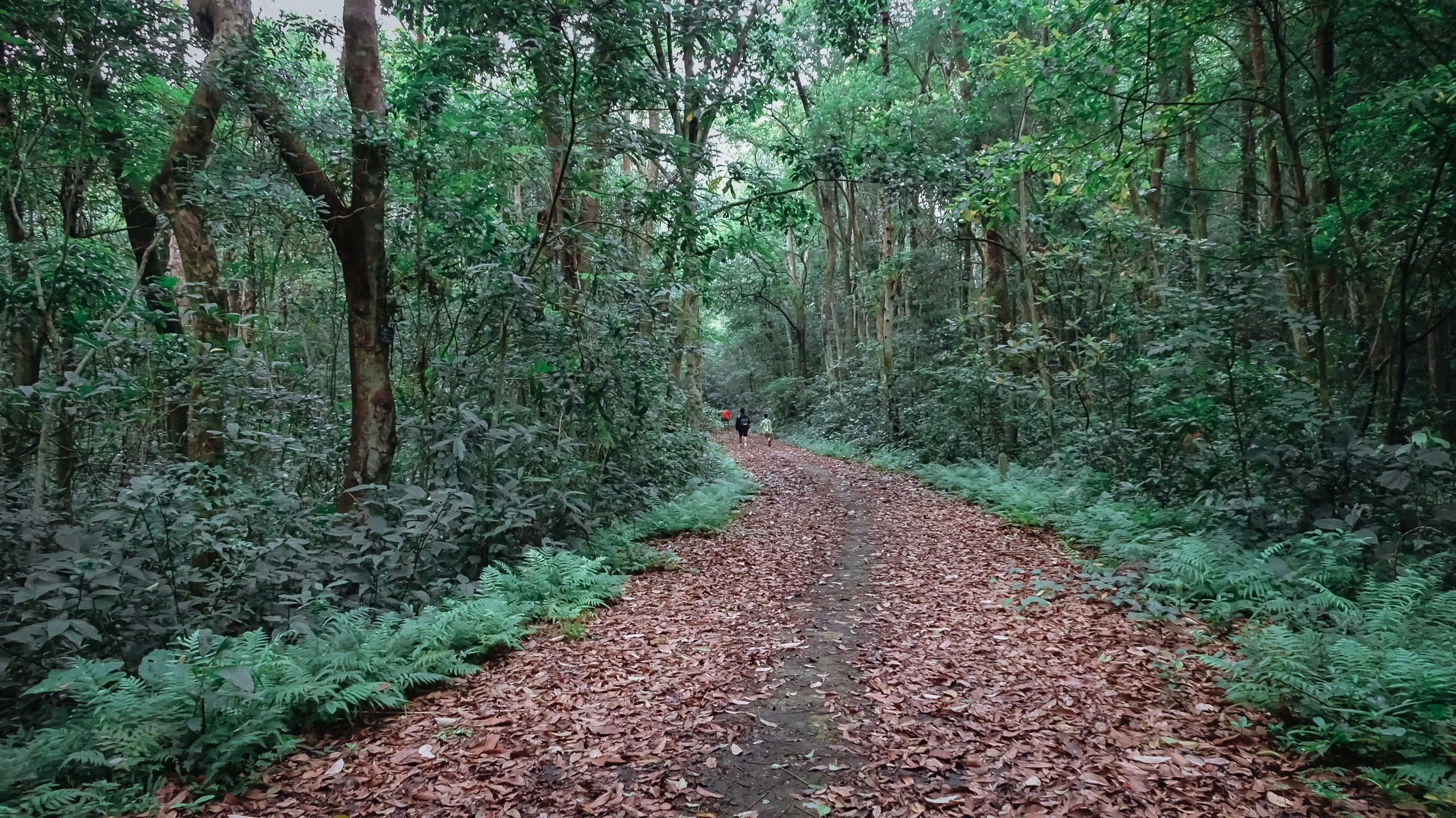 Viet Hai village homestay room