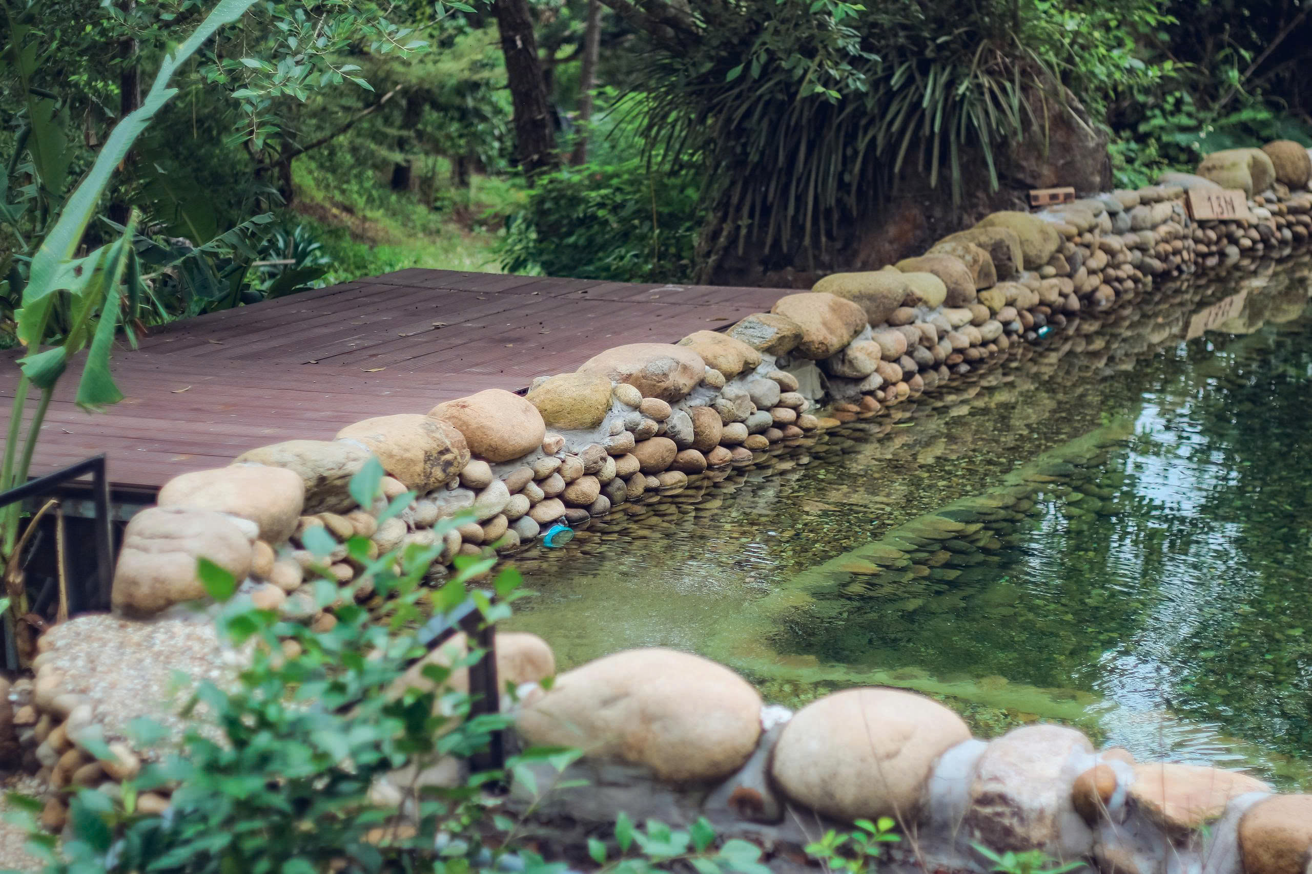 Enlarged gallery image