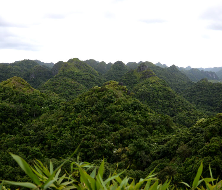 Cat Ba Eco Lodge